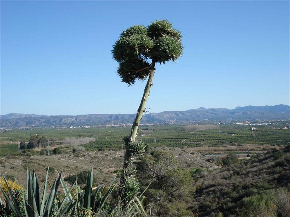 Готель El Raco De La Pintora "Adults Only" Alberic Екстер'єр фото